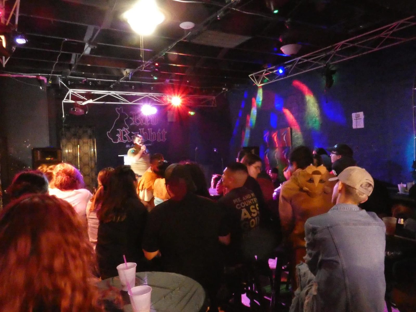 Comedy show crowd